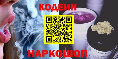 индика Беслан